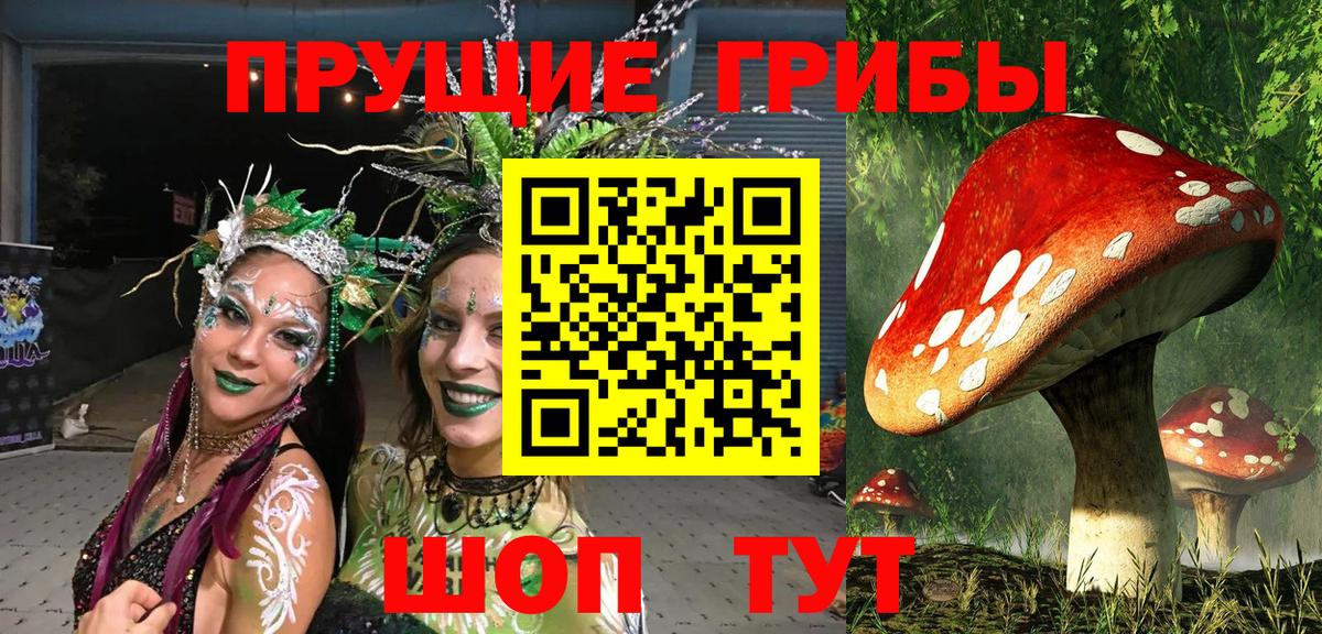 Галлюциногенные грибы Cubensis  Галлюциногенные грибы Psilocybe  Вход с VPN  Ессентуки 