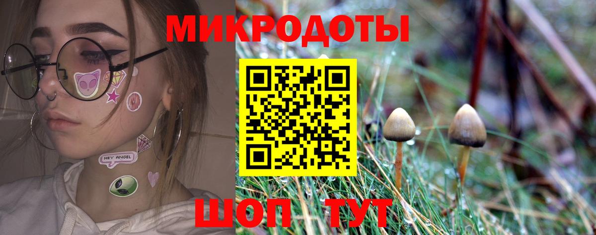 Псилоцибиновые грибы MAGIC MUSHROOMS Ессентуки